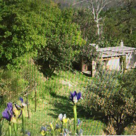 Vila Cortijo La Vinuela Atalbeitar Exteriér fotografie