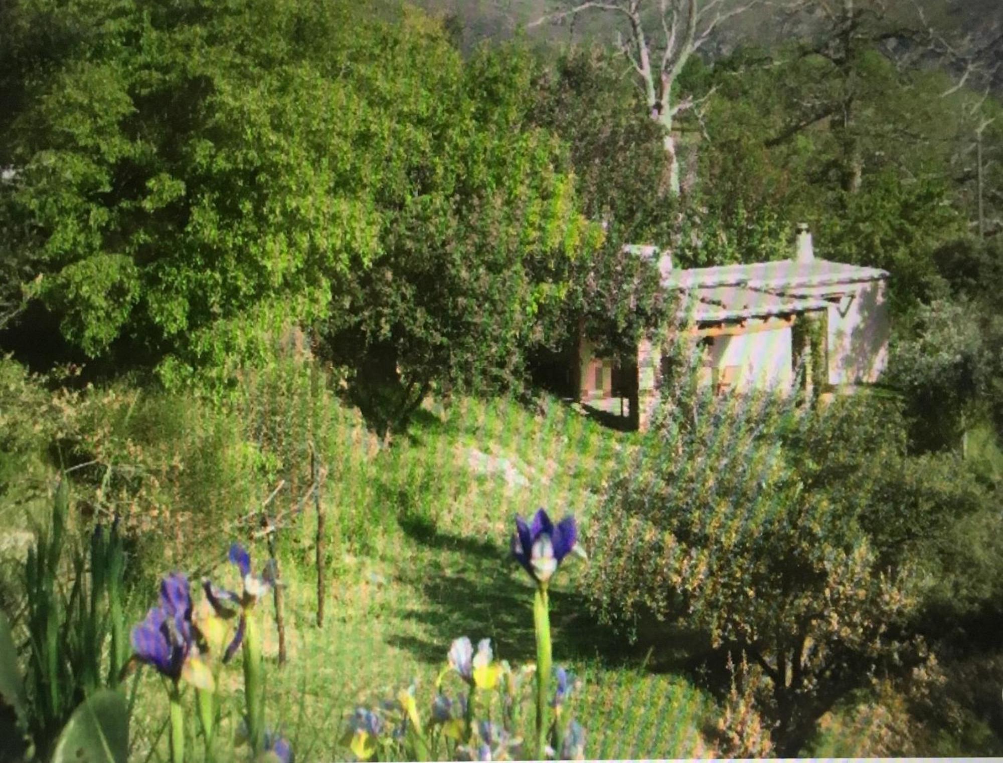 Vila Cortijo La Vinuela Atalbeitar Exteriér fotografie