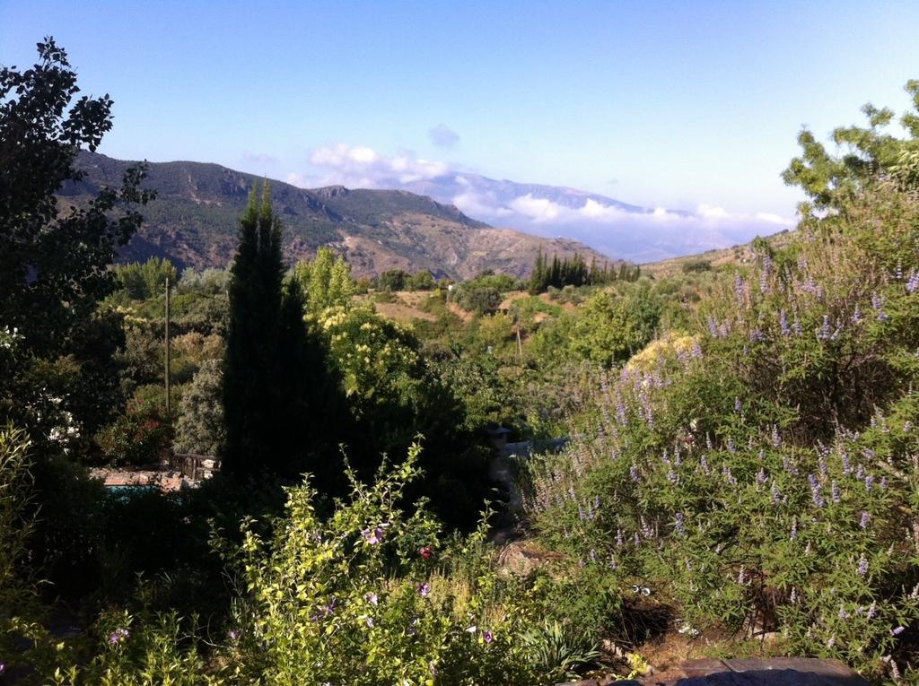 Vila Cortijo La Vinuela Atalbeitar Exteriér fotografie